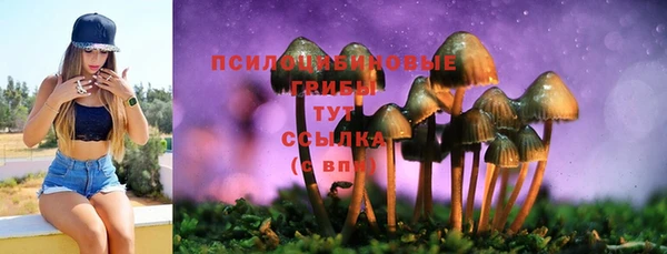 мяу мяу мука Абинск
