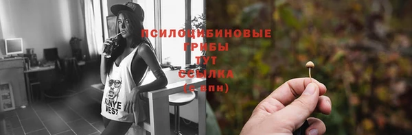 герыч Абаза