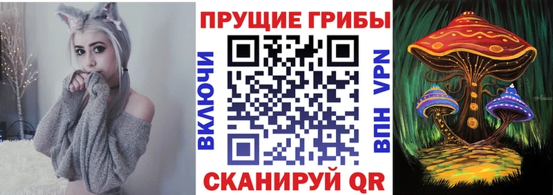 где продают наркотики  Черноголовка  Псилоцибиновые грибы Magic Shrooms 